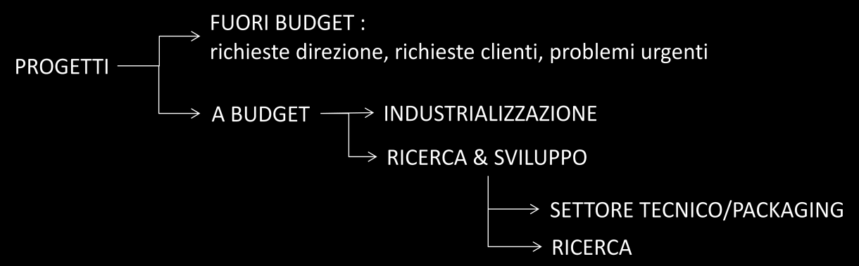 5.5 PROGETTI SAN BENEDETTO 2012-2013 I progetti in San Benedetto possono essere divisi in progetti a budget, ovvero caratterizzati da dei budget stabiliti, e progetti non a budget, che nascono da