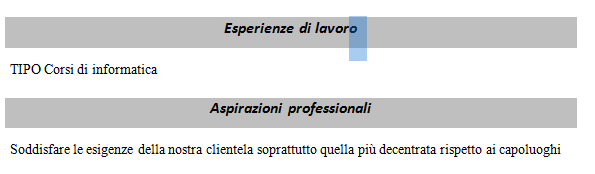 9. Per formattare il titolo nel tipo di carattere e nello sfondo, selezionare la riga dati personali e sfondo grigio e modificarla a carattere Calibri, dimensione 14 pt, grassetto e corsivo. 10.