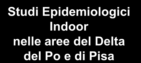 Rischio di sintomi respiratori Malattie Respiratorie Acute Studi Epidemiologici Indoor