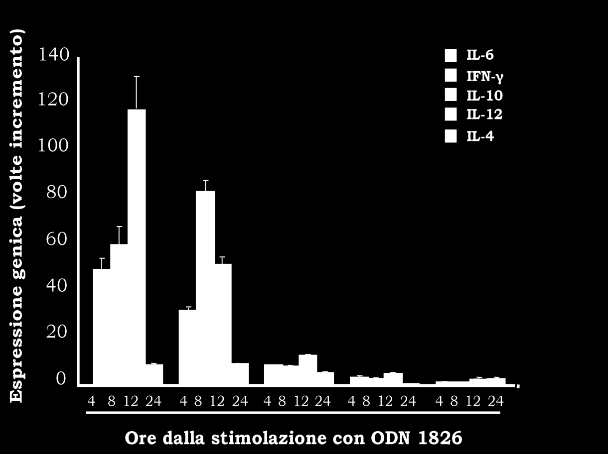 Risultati Figura XI: Cinetica d espressione delle citochine dopo stimolazione con ODN 1826 Sulla base di questi risultati e dal momento che l ODN 1826 contiene nella sua sequenza motivi CpG di tipo