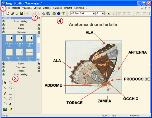 Guida Introduttiva Studio Studio consente di inserire nelle immagini annotazioni costituite da forme vettoriali, standard o personalizzate.