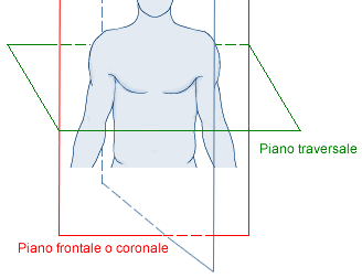 La Postura La Postura definisce l'orientamento del corpo nello spazio