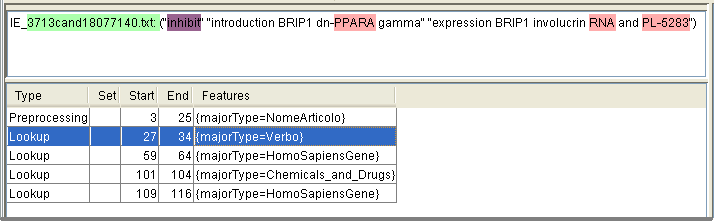 Le singole relazioni verbali; Il nome dell articolo dal quale ogni relazione è stata estratta; Il predicato verbale di ogni relazione; Le entità biomediche contenute nei singoli argomenti e il loro