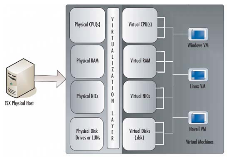 Full Virtualization: VMWare ESX Server Daniele Sgandurra