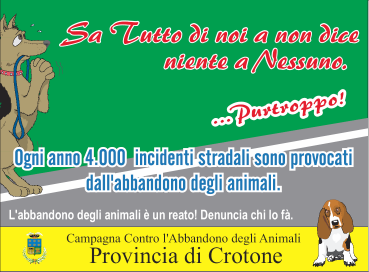 ATTIVITA DI SENSIBILIZZAZIONE CARTELLONISTICA STRADALE L Amministrazione Provinciale ha inteso installare, lungo le strade provinciali,