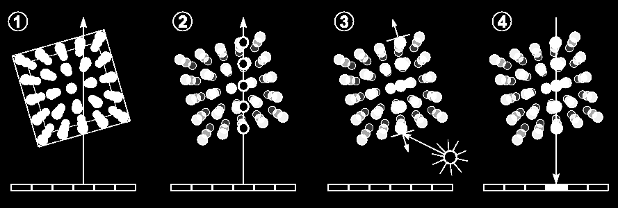 Volume Ray casting 3. Shading: per ciascun campione è calcolato il gradiente (vale a dire l orientamento della superficie entro il volume).