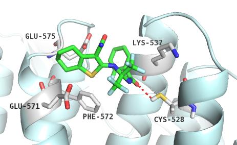 PO6 BINDING STUDIES OF NEW CHROMOSOME REGION MAINTENANCE (CRM) BLOCKING TRANSPORT INHIBITORS COMBINING BIOPHYSICAL METHODS AND DOCKING Marco Belfiore a, Livia Basile a, Ralf Ficner b,thomas Monecke b.