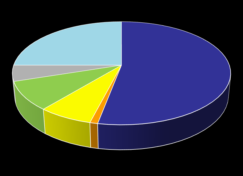 Off Highway Division Automotive Division Overview Ripartizione mercato 2013 Principali Clienti Automotive: FCA DAIMLER MERCEDES VW Group GM BMW SEVEL IVECO MAGNETI MARELLI PASSENGER CARS