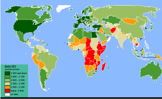 Una classificazione dei Paesi secondo la gravità dei fenomeni della fame e della denutrizione può essere stilata utilizzando il DES (Dietary Energy supply index), cioè un indicatore di disponibilità