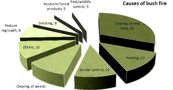 Fig. 3.30 - Cause di incendi nelle foreste gambiane (Fonte: FAO. Fotografia visibile in http://www.fao.org/forestry/28636042de4909ac624064c9c42f1fae43c57a.