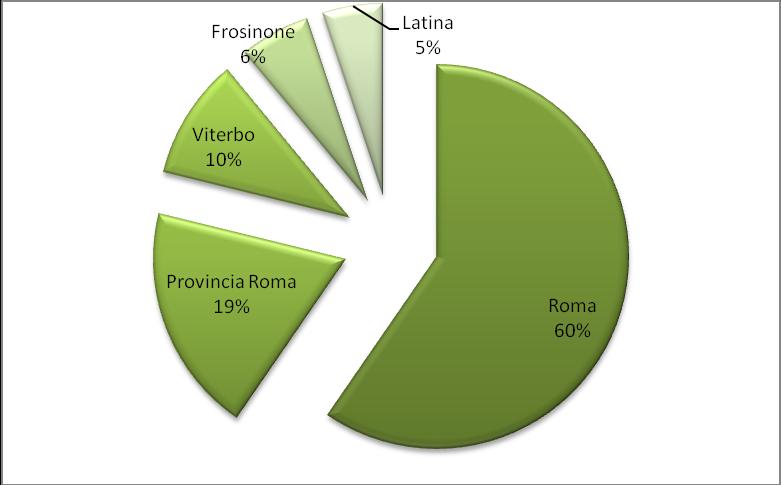 PROVENIENZA DEGLI ASSISTITI Dei 395 assisti 359 (pari al 91%) risiedono nel Lazio e 36 (pari al 9%) provengono da altre regioni.