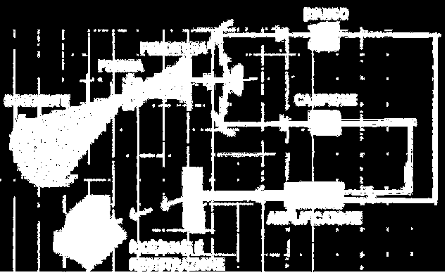 Strumenti a scansione Gli strumenti a scansione possono avere modalità costruttive molto diverse, a seconda del tipo di spettroscopia (IR, UV, etc.