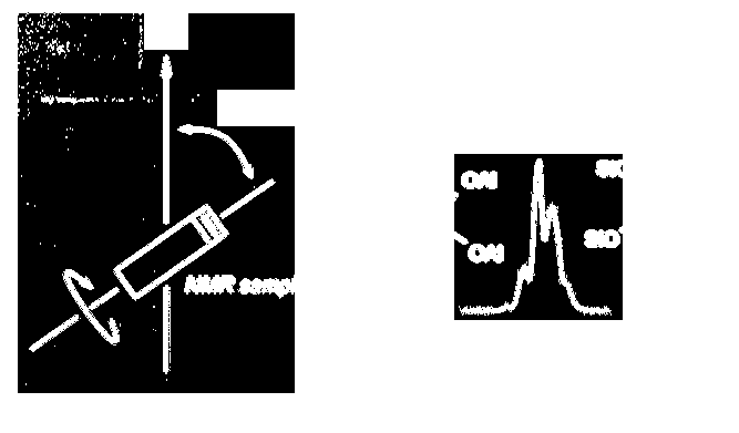 NMR DELLO STATO SOLIDO: MAGI ANGLE SPINNING (MAS) H 0 Spinning sidebands: modulazioni del