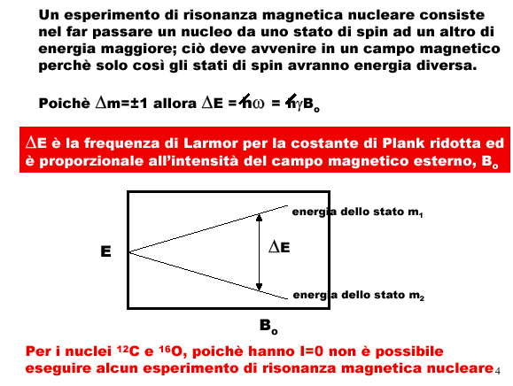 INTERAZIONE DI ZEEMAN Il metodo si fonda sulla precessione dello spin attorno ad un campo magnetico Ho.