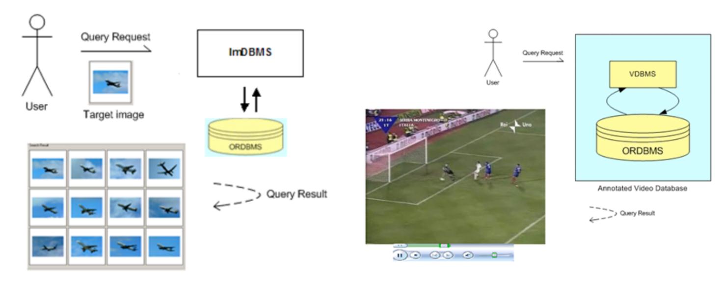 utilizzati dal Query Manager, modulo del MMDBMS, riconoscono le similitudini tra oggetti, e anche del movimento nel caso dei video, per riuscire ad ottenere delle risposte esaurienti ed
