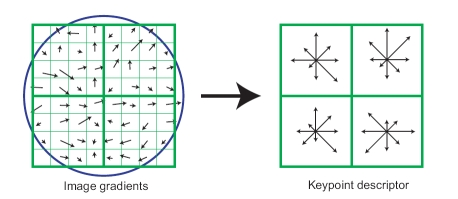 Questi fattori sono calcolati per ogni pixel in una regione di vicinato intorno al keypoint nell immagine ( ). Viene formato un Gradient Orientation Histogram di 36 bins, ogn uno rappresentate.