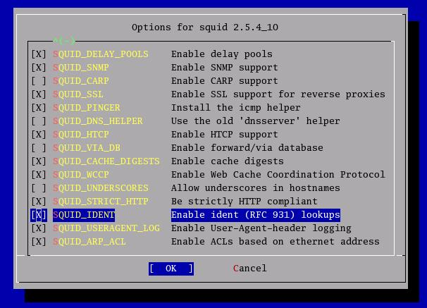 Il comando make config consente di impostare in maniera interattiva alcune opzioni di configurazione che permettono di abilitare una serie di features piuttosto esotiche di Squid Proxy Server, il