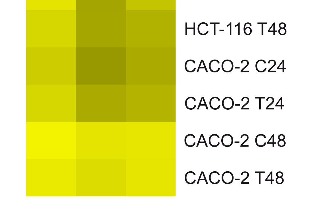 Risultati dei dati abbiamo calcolato la correlazione di Pearson (r; p<0.01) tra i Ct dei replicati biologici di cellule trattate e non trattate.