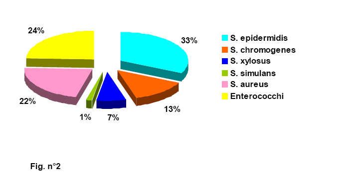 Peculiare è invece l alta percentuale di isolati appartenenti alla specie Enterococcus faecalis (24.1%), notevolmente superiore a quanto finora riscontrato in altri allevamenti ovini (Fig. n 2).