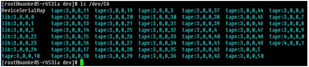 Come individuare periferiche connesse a server CA_ENV_CLEAN_DRIVE_TIME_OUT Consente di definire il valore di timeout per operazioni di pulizia dell'unità nastro.