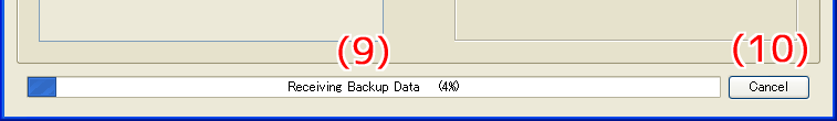 Modo Backup Quello che si può fare in questo modo... Eseguire il backup di tutti i dati dell utente nella memoria dello Strumento. Trasferire e salvare i file di backup al vostro computer.