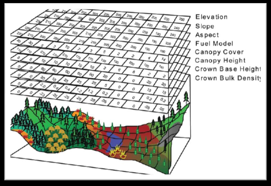 Figura 3: Dati layer raster contenuti nel file Landscape (Finney 2006). Una volta ultimato il file.lcp il passo successivo consiste nella creazione del file Project (.