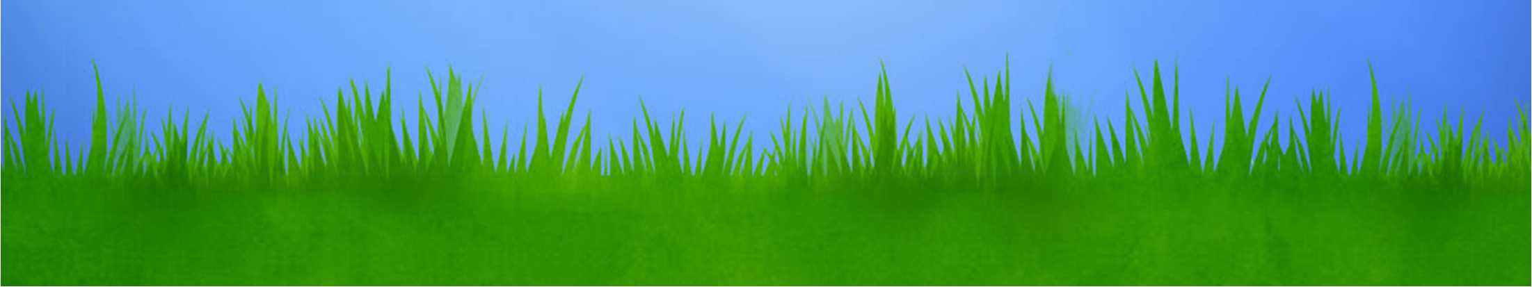 Le nostre operazioni di manutenzione del verde prevedono lo sfalcio dell erba su tutta l area interessata, il mantenimento di siepi e piante presenti sul perimetro di recinzione e la cura del manto