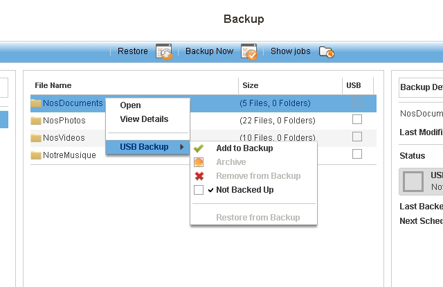 Backup su disco USB Manuale per l'utente pagina 69 8.2. Unità disco esterna: Backup Dalla Landing Page, fare clic sul collegamento Backup.