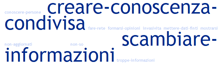 Per quel che concerne la diffusione risulta significativa la presenza esclusiva di Linkedin tra i social network professionali, usato però da oltre il 50% degli intervistati.