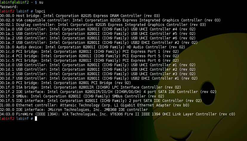 Ecco l'output di lspci sul computer di chi scrive.