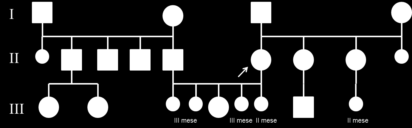 Famiglia 1: t (7;14) (q21;23) II-6 probando In questa famiglia è mostrata la trasmissione ereditaria della traslocazione in 3 generazioni.