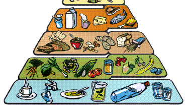 LA PASTA Nell alimentazione umana, la pasta occupa un posto di primaria importanza, grazie al buon apporto in carboidrati complessi, oltre alle sue caratteristiche organolettiche e nutrizionali: 356