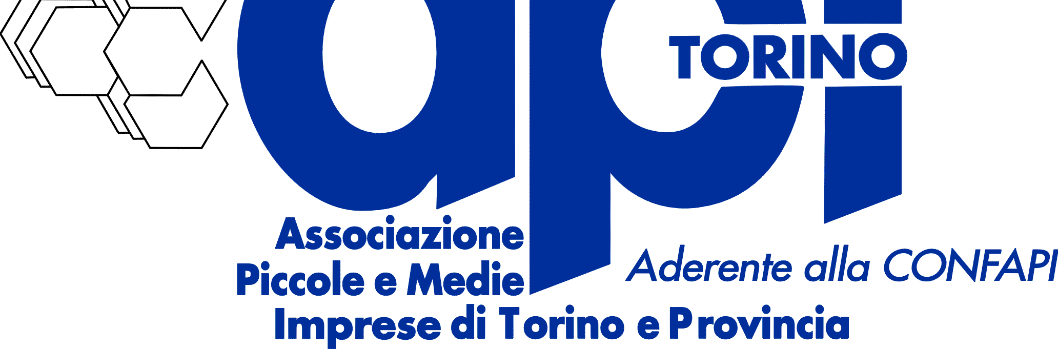 Api Torino, nata nel 1949, rappresenta la cultura e la creatività imprenditoriale di una delle più importanti aree industriali italiane. E il punto di riferimento per le circa 3.