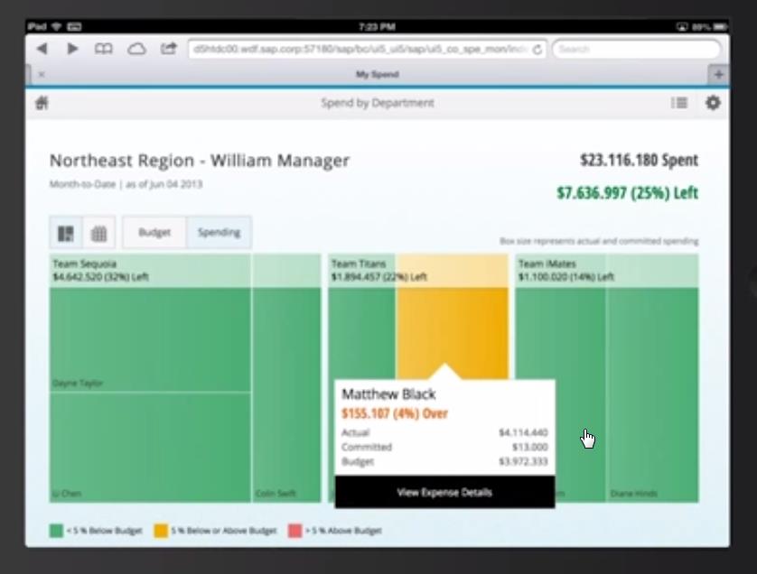 SAP RealSpend per