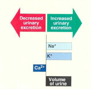 I diuretici tiazidici in complesso permettono una diminuzione del volume circolante efficace che si ripercuote sul volume telediastolico e contribuisce ad una riduzione della gittata cardiaca; in più