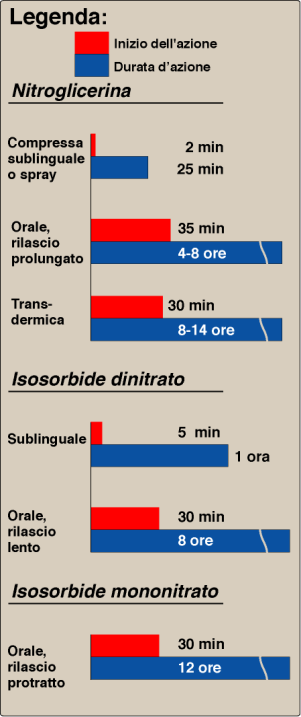 Meccanismo d azione I nitrati o nitriti svolgono la loro azione a seguito della loro conversione intracellulare in NO, il quale provoca l attivazione della guanilato ciclasi che produce cgmp il quale