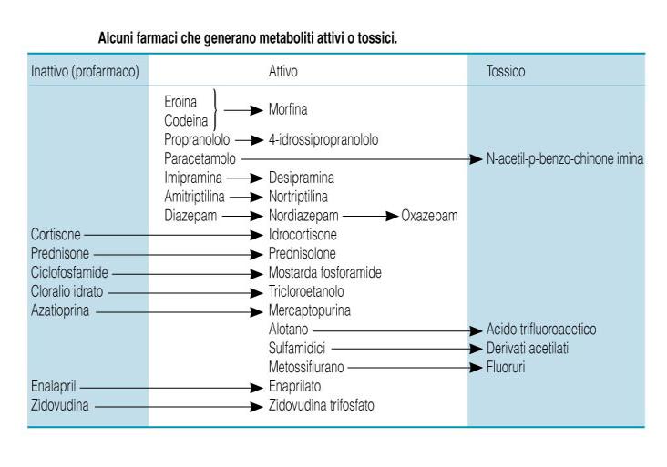 Esistono comunque dei casi in cui il farmaco che ha subito una reazione di fase 1 possiede dei gruppi polari a sufficienza da renderlo idrosolubile e questo permette di saltare la fase 2 e passare