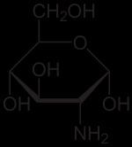 Glucosammina