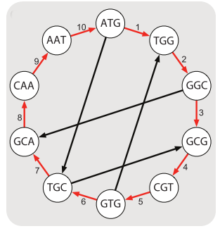 Assemblaggio Metodo Sanger Metodo usato nei sequenziamenti Sanger Metodo computazionalmente costoso Tutti gli allineamenti fra i k-mers devono essere calcolati per costruire il grafo