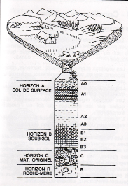 la terra TERRA per COSTRUZIONE La terra è certamente uno dei materiali da costruzione più impiegati nella storia dell umanità.