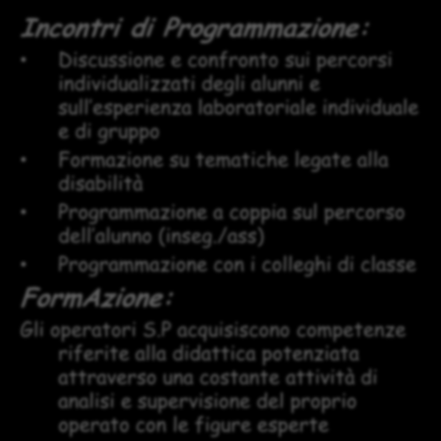 individuale e di gruppo Formazione su tematiche legate alla disabilità Programmazione a coppia sul percorso dell alunno (inseg.