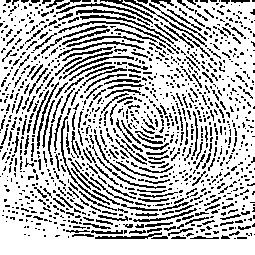 FIG.8.Apertura.