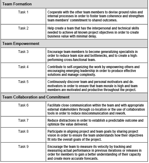 IV Team Performance Team Performance (3 subdomains,