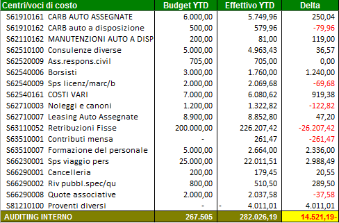 Il conto economico di funzione: una forma di