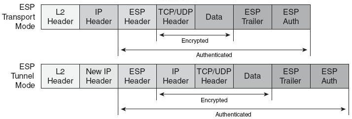 pacchetto all'interno delle Security Association e previene da reply attack Payload: I dati che devono essere trasferiti Padding: È un campo di riempimento.