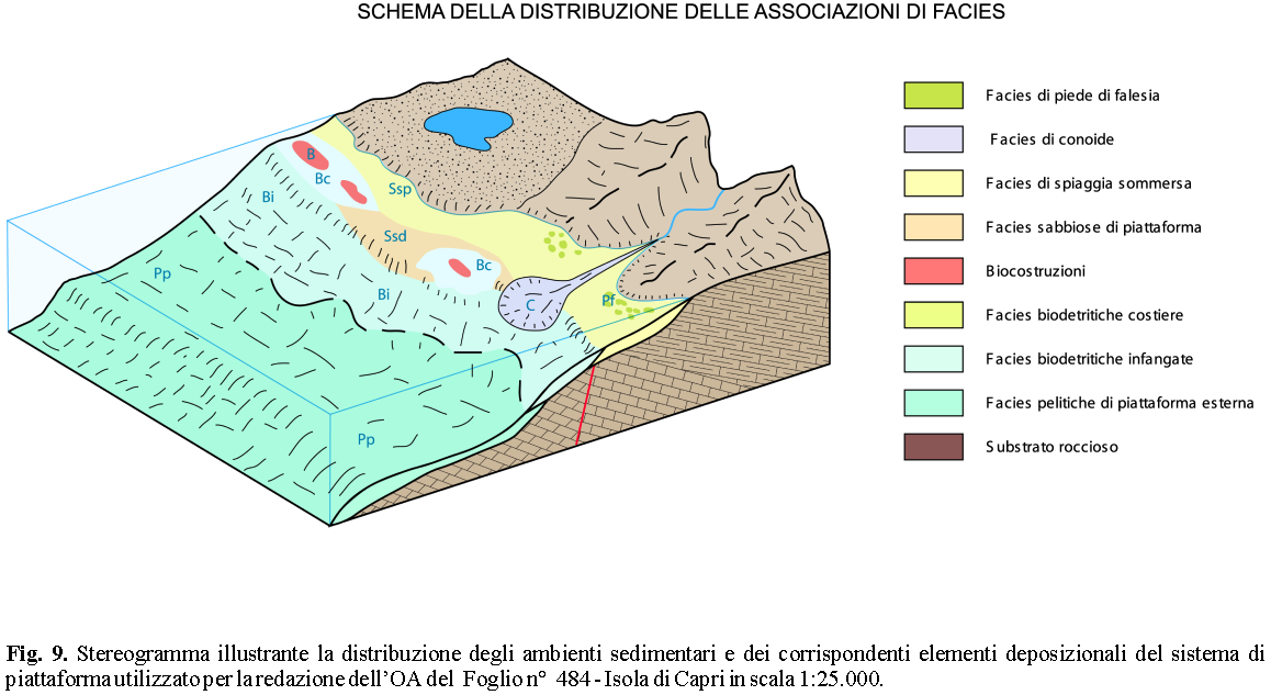 Relazione sull attività del V anno 41 l intervallo batimetrico principalmente, ma anche degli apporti dall entroterra e del contesto idrodinamico (Fig. 6).