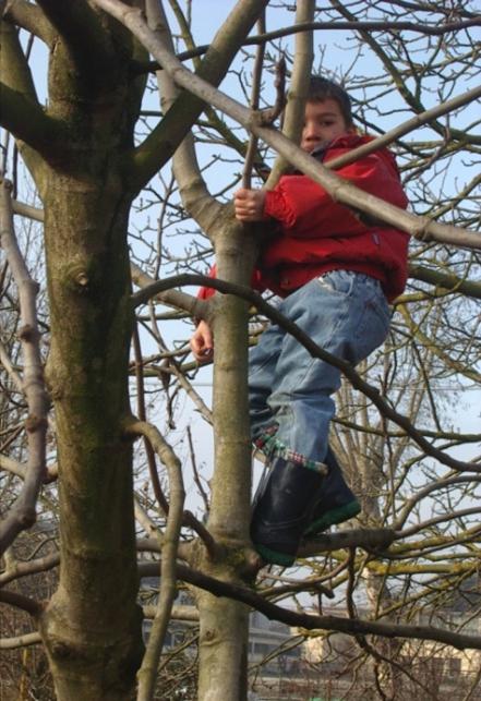 A scuola nel bosco Progetto a