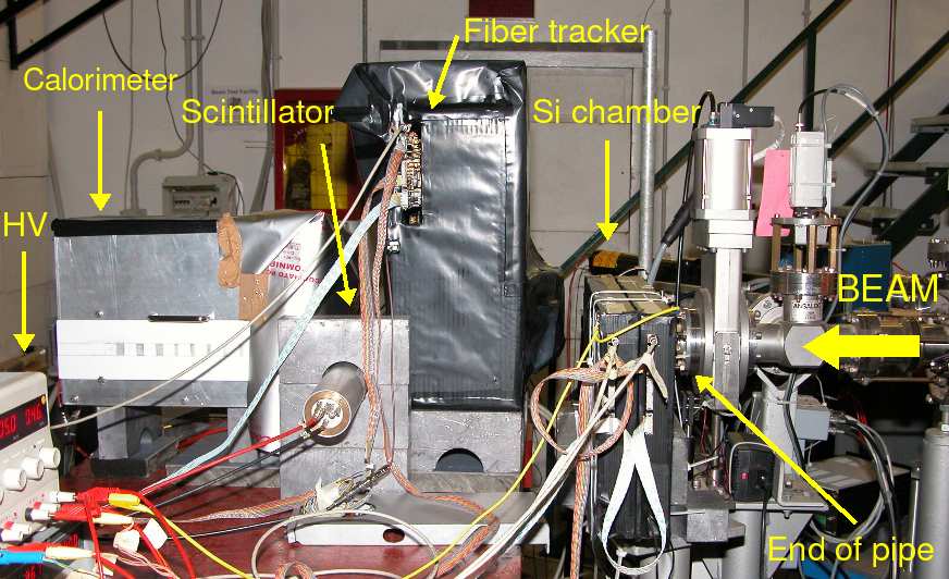 sotto test: le camere al Si (con risoluzione spaziale di 20 µm) poste a