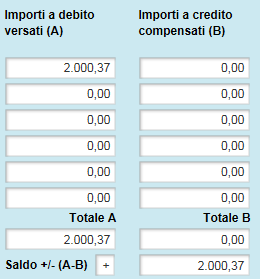 Nelle sezioni relative agli importi, digitare le cifre in migliaia (senza il punto) seguite dalla virgola e da due decimali (es: 2000,37).