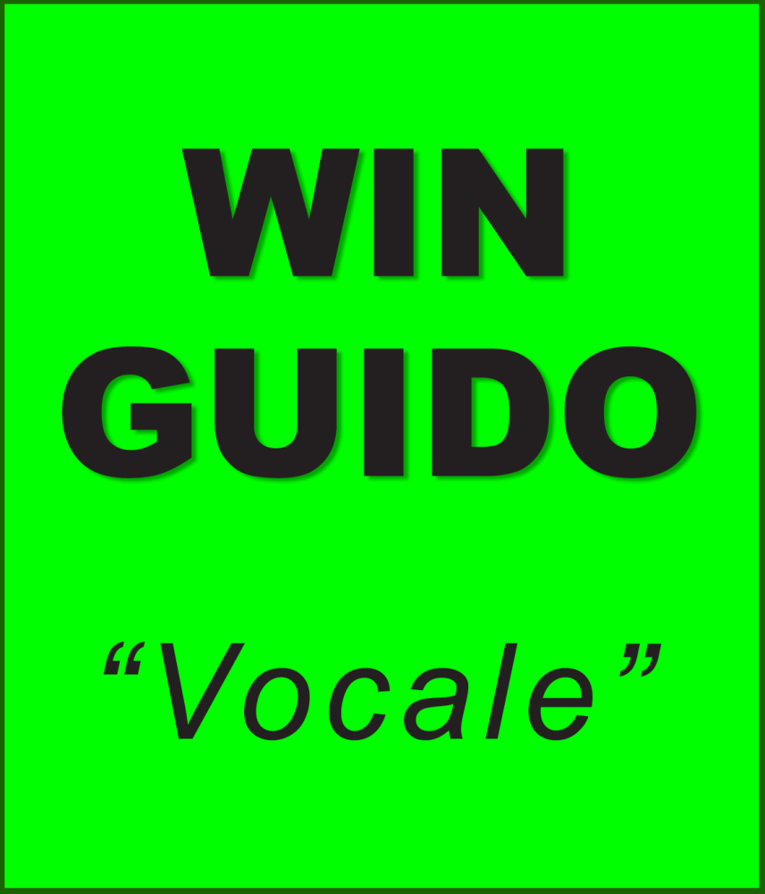 WINGUIDO PROGRAMMA MULTIFUNZIONE PER NON VEDENTI Il programma per non vedenti WinGuido () è stato realizzato dall Ing.